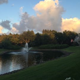 View from Moms Back Porch, Kings Park NY, 2016