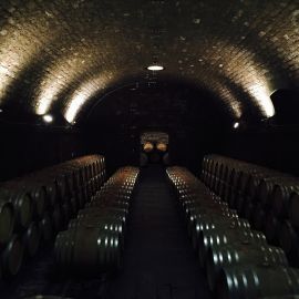 Antinori Celler, 2015