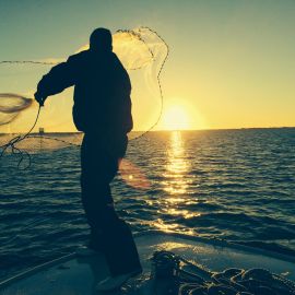 Fish Net before Fish, Florida, 2014