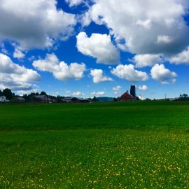 Vermont, 2016